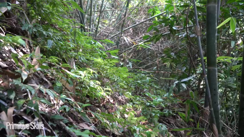 3基地B125平民草鞋王(30)山野基地】《如果你一无所有 进入单人我的世界，自由荒野 离网乐园 全手工制作耕种 快乐野外生活》
