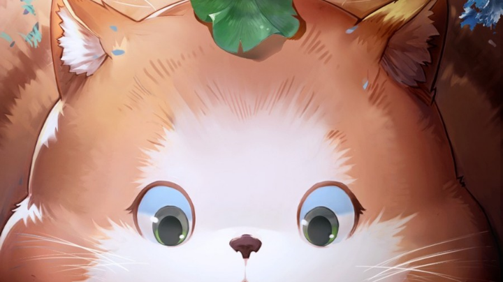 你这是让我掉分就直接说