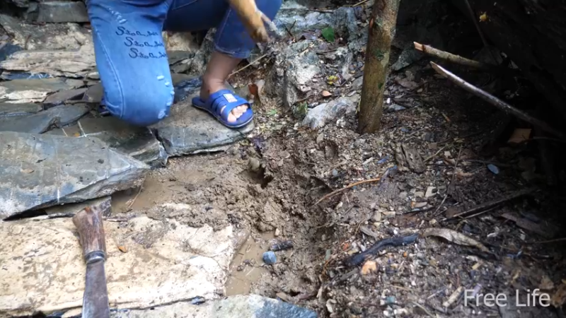 女生野外寻找桃源W1淋浴必须要有9妹子独自深入荒野隐居,建设世外桃源）