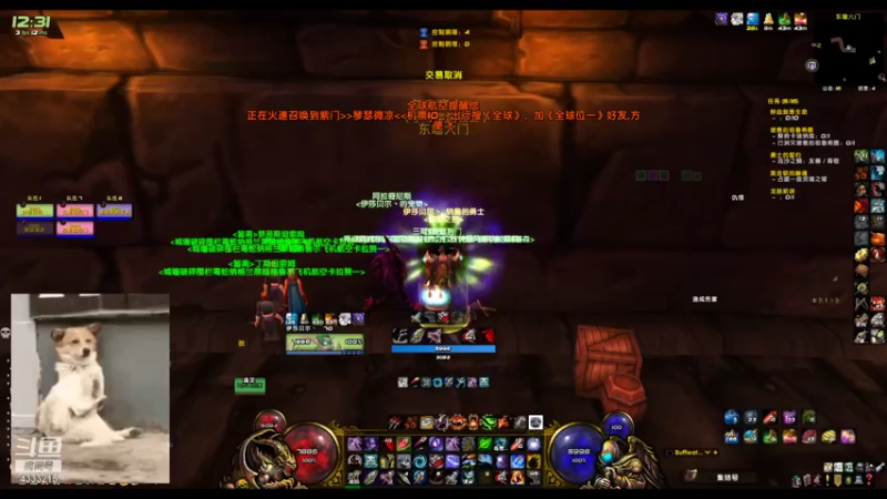 【2021-10-10 12点场】神气山猫：何时才能出马