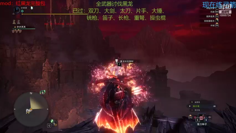 【2021-10-10 02点场】小天天噢：全武器讨伐黑龙（重弩已过）