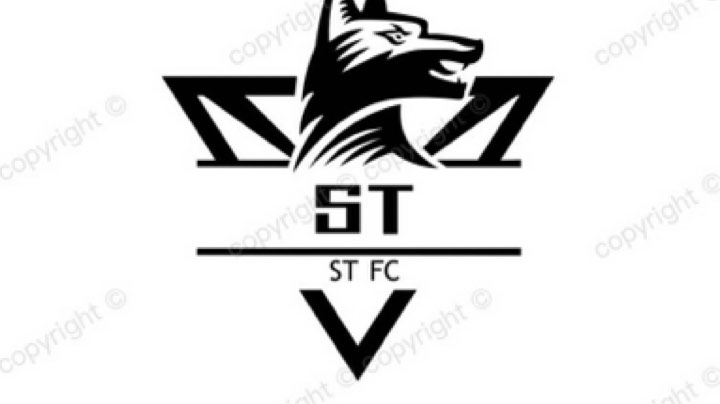 fifa
