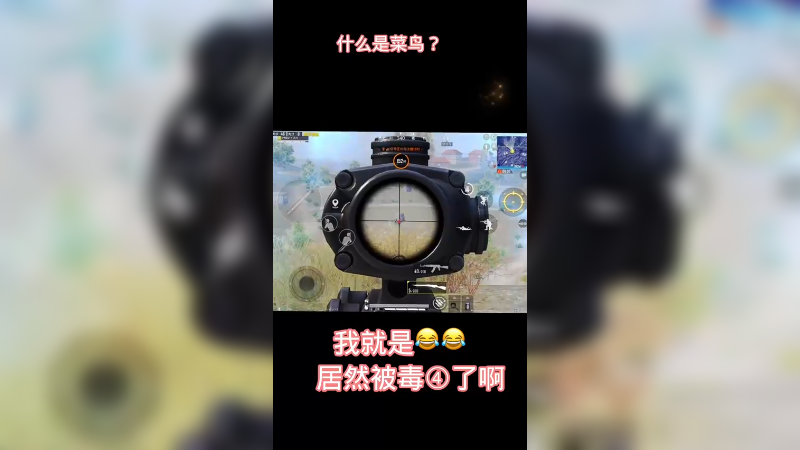 和平精英小菜鸟