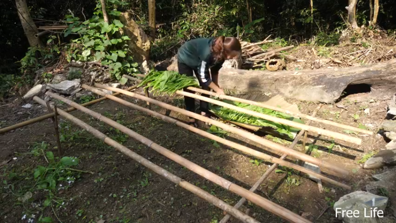女生野外觅桃源W9制作农家酸菜11#妹子独自深入荒野隐居，建设世外桃源