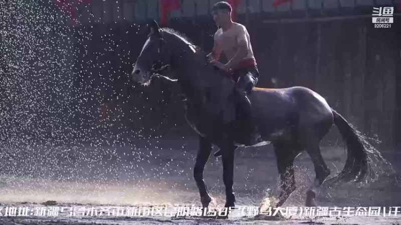 【2021-10-08 14点场】加摩尔Gamon：休息。。。