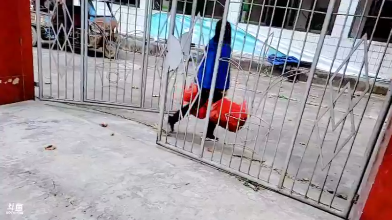 【2021-10-10 17点场】洪湖小肖：出发 蕲春我们来了