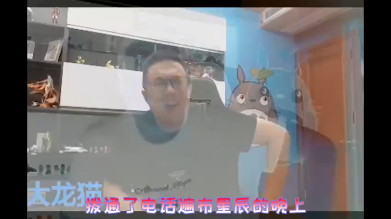 猫砂组合深情献唱