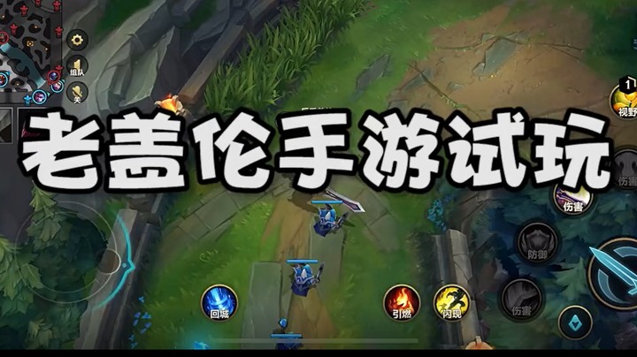 老盖伦试玩手游，被电脑玩崩心态