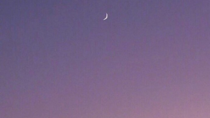 秒