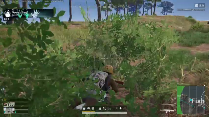 【2021-10-07 21点场】白狄嘟：小白:小白:新手上路!pubg!我来了!