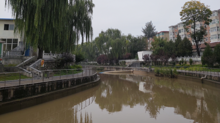 冲泉