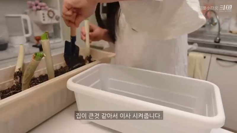 制作辣金针菇，去超市买菜做饭，和朋友一起开家庭派对的自炊生vlog、辣玉米奶酪、韩猪牛排、蒜酱菜、培根卷烤面包、米肠、汤炒年糕制作辣金针菇，去超市买菜做饭，和朋
