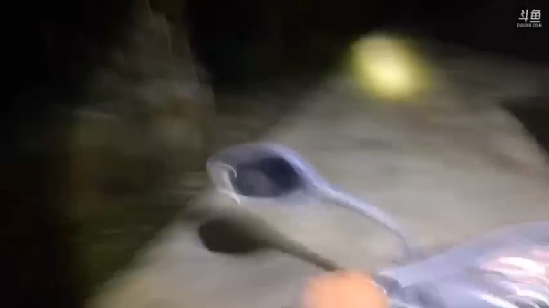 【2021-10-11 20点场】魅力生活i：晚上去抓大牛蛙