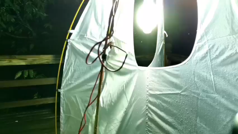 【2021-10-04 19点场】在线天文：丽江老君山昆虫考察