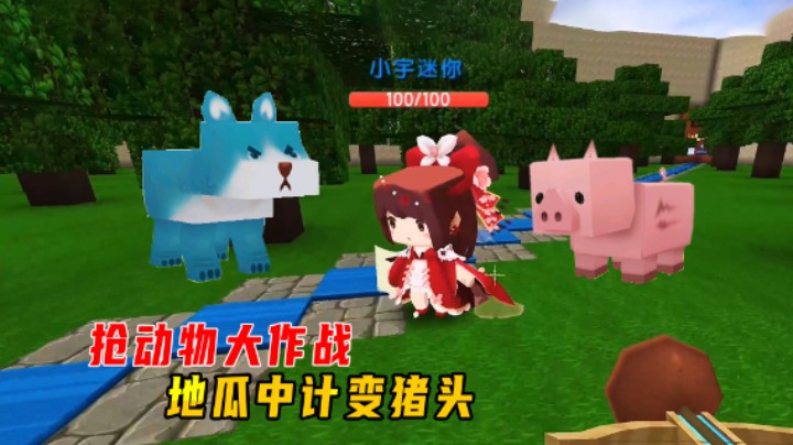 迷你世界：抢动物大作战！墨墨偷三家，地瓜中计变猪头被我收服