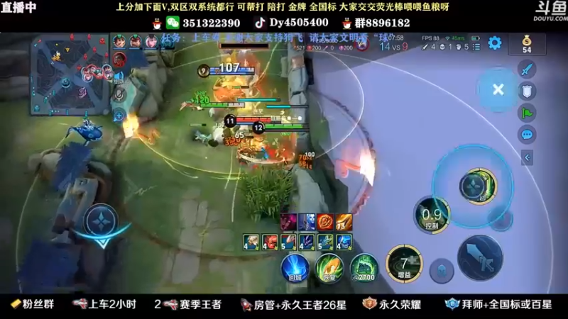王者混剪 (590)