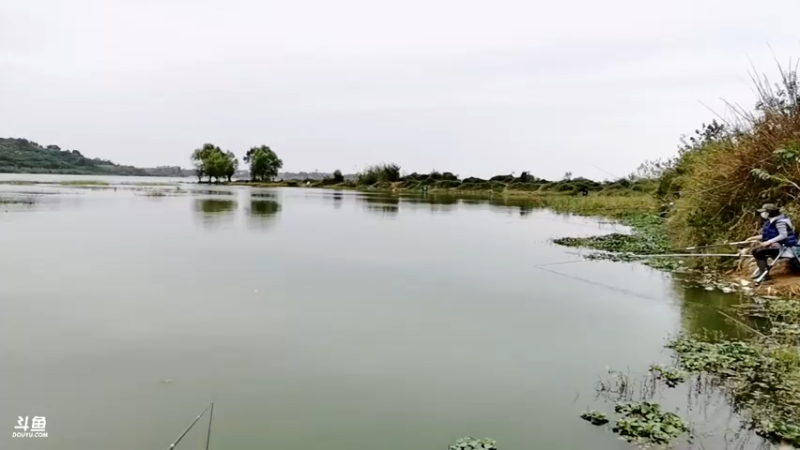【2021-10-11 12点场】中华户外钓鱼：斧头湖开湖钓鱼啦
