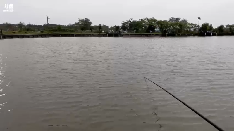 【2021-10-11 15点场】sakira丶hao：今天钓鱼了