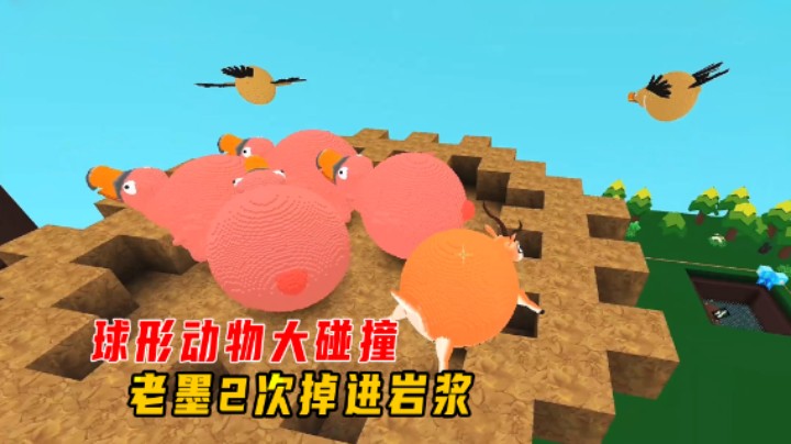 迷你世界：球形动物大碰撞！老墨受到冲击力的影响，2次掉进岩浆