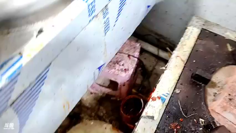 【2021-10-11 20点场】逐梦兄弟：回重庆，到基地开播