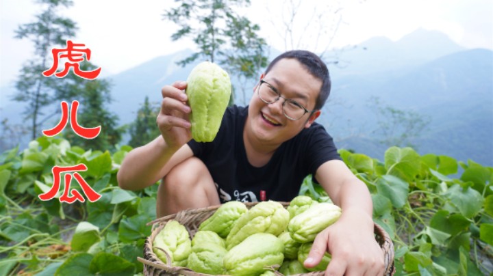 邻居家的虎儿瓜熟了，摘一背篼回家尝尝鲜，你们吃过这种蔬菜吗？