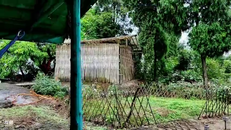 【2021-10-11 11点场】川味箩卜：十一点直播