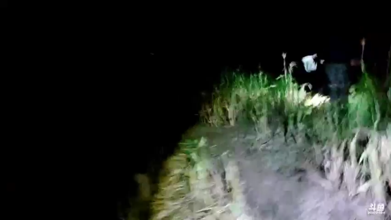 【2021-10-11 19点场】魅力生活i：晚上去抓大牛蛙