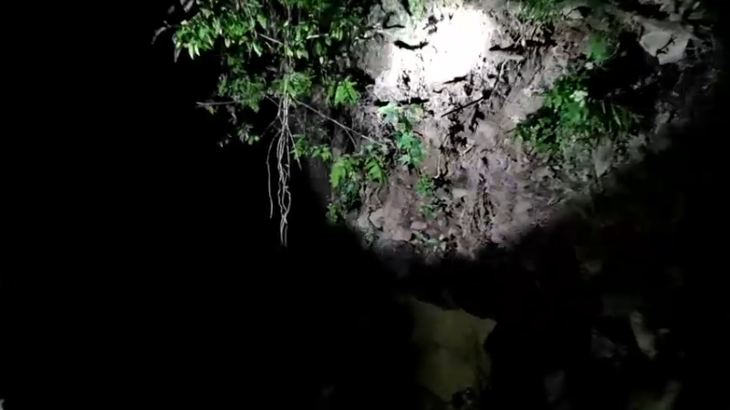 【2021-10-04 21点场】在线天文：丽江老君山昆虫考察