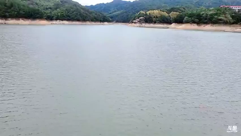 【2021-10-11 09点场】洪湖小肖：出发 蕲春我们来了