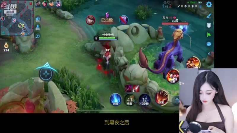 王者混剪 (511)