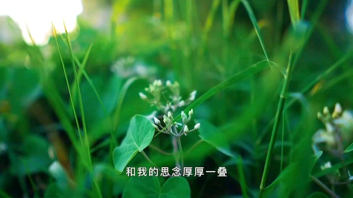 二区老炮发布了一个斗鱼视频2021-10-12