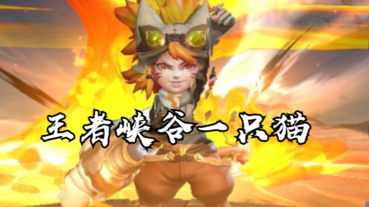 王者峡谷里的一只猫