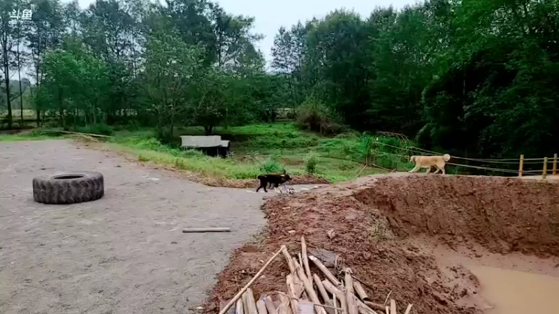 【2021-10-12 13点场】逐梦兄弟：早上十点开播