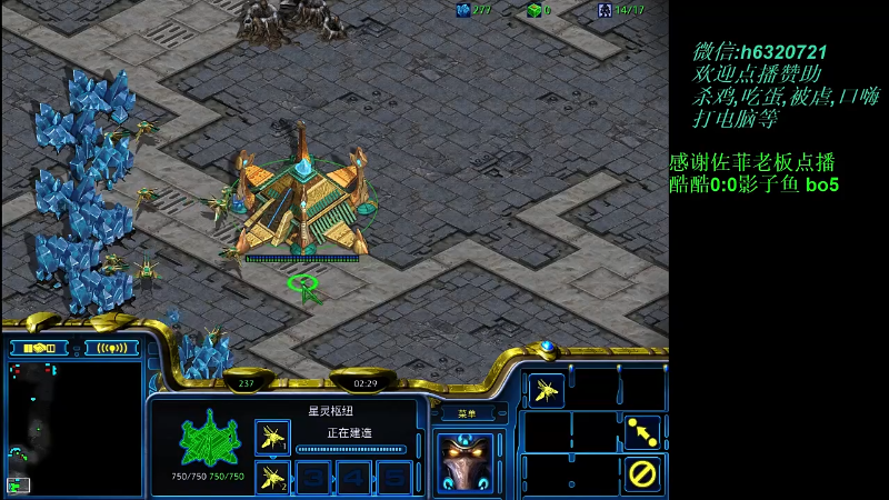 【星际争霸】酷酷boy1的精彩时刻 20211012 00点场