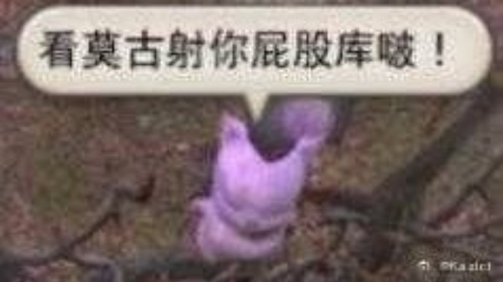 日常