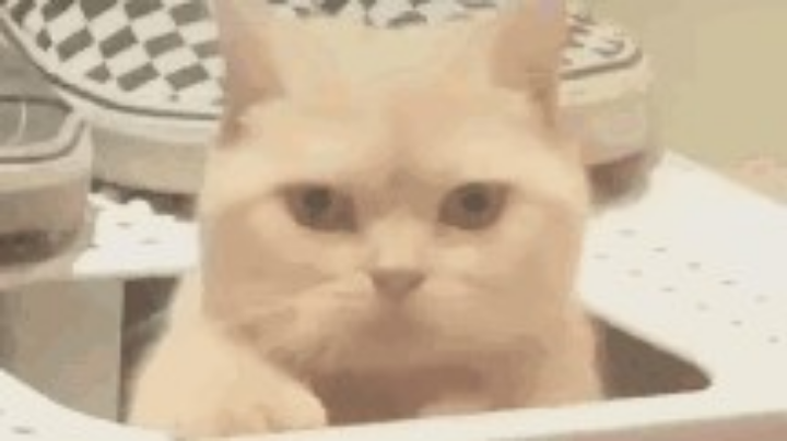 重生之五毒剑荡2