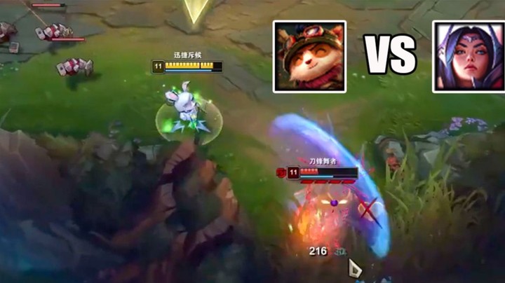 【恶霸提莫】什么时候能你们能想我一样暴鲨这个刀妹，你们也就离王者不远了