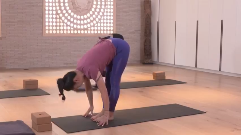 课时21平衡的稳定与控制(22)动作分解