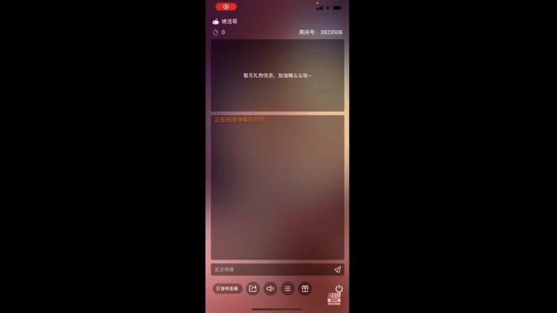 玩辅助