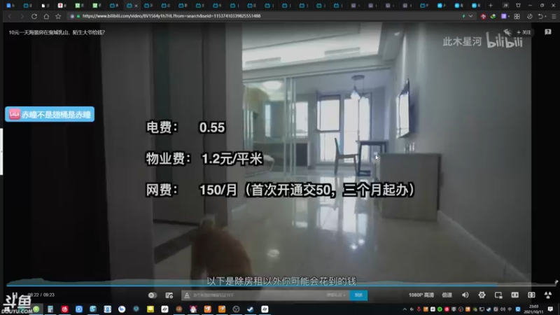 【2021-10-11 23点场】赤瞳不是翅桶是赤瞳：沉浸式体验直播间