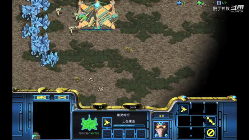 pvt斗魂2021-10-12-01