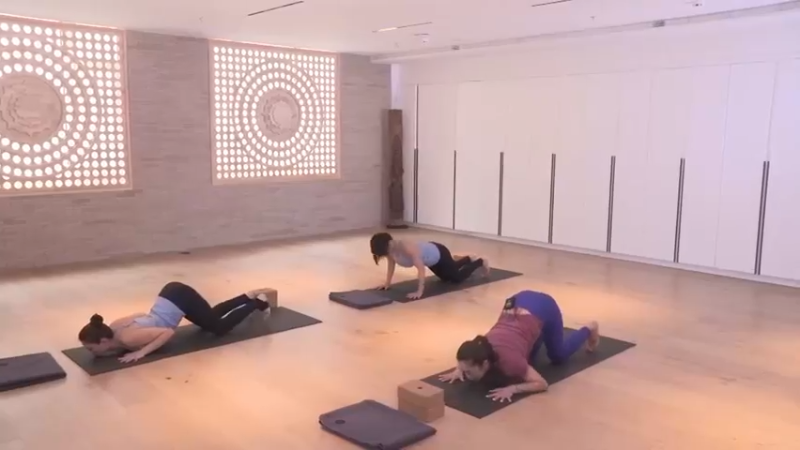 课时21平衡的稳定与控制(21)动作分解