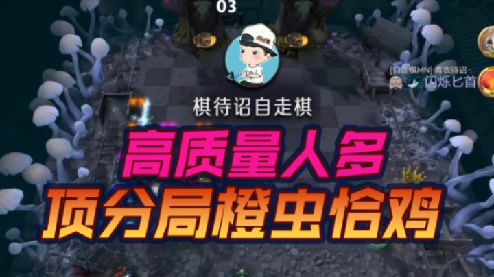 高质量人多 顶分局橙虫恰鸡