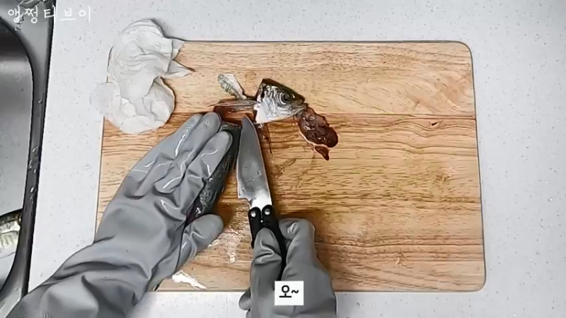 钓鱼美食模式(2020115)小姐姐厨房 竹荚鱼烹饪