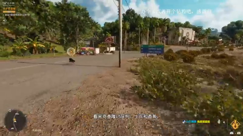 【2021-10-10 20点场】波波菜呀：孤岛惊魂6突突突