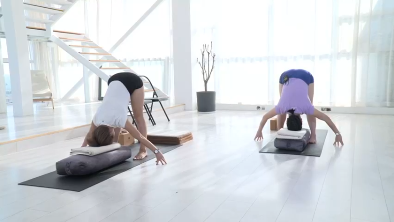 5.课时20减压助眠瑜伽(20)动作分解