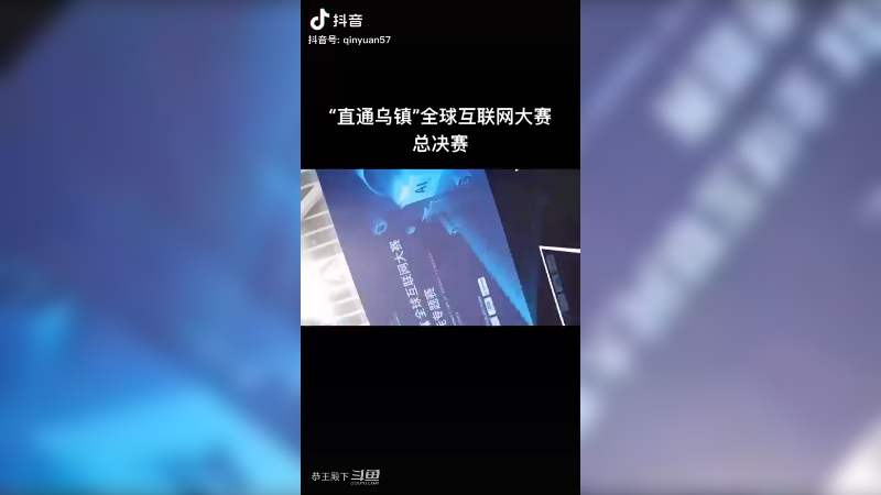 恭王小团队之老大 - （“直通乌镇”全球互联网大赛总决赛）