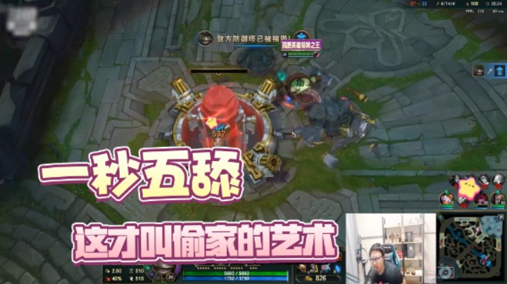 【塔姆新玩法】东北大鹌鹑带你感受偷家的乐趣！