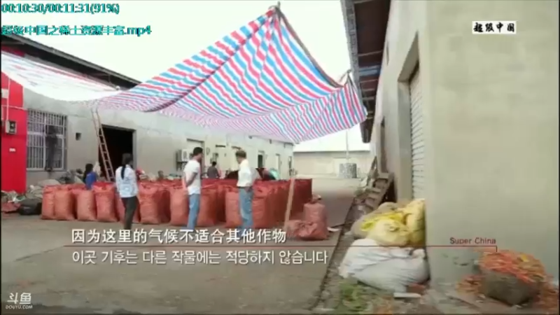 【2021-10-12 23点场】了不起我的国：中医真的是没用么？