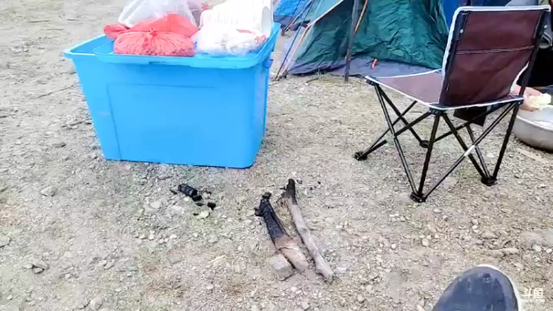 【2021-10-13 09点场】洪湖小肖：9966284鱼皇生日快乐 447507